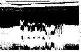 GPR - Cross section at distance 0.5 km