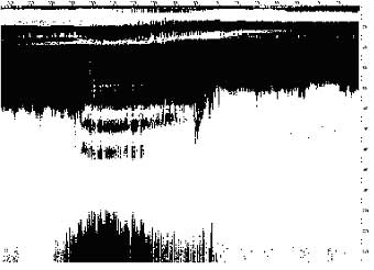 GPR - Cross section at distance 1.3km