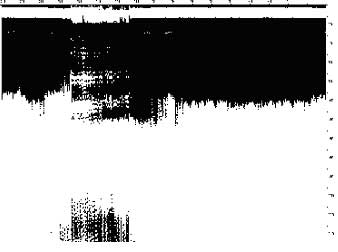 GPR - Cross section at distance 1.7km